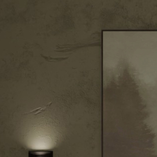 Acabado de pared en tono oscuro